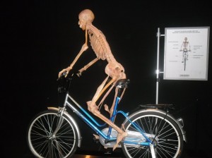 Fotografía Alejandra Xilotl