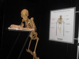 Fotografía Alejandra Xilotl